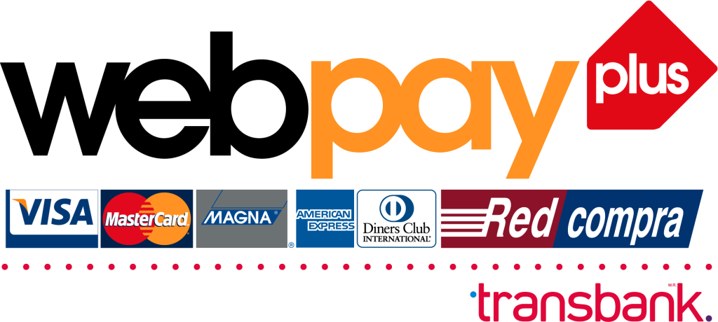logo web pay plus 1024x460